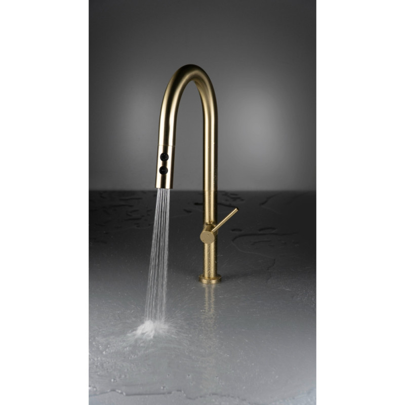 Deante Kitchen set Olfato steel sink ZPO_R10A + tap BQO_R72M, brushed gold (ZPOER10A)