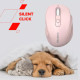 Мышка Canyon OnClick 20 Wireless Pink (CNE-CMSW20P)