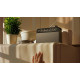Philips TAR2509 Portable radio FM/MW, mono 300 mW, AUX 3.5mm, 2хLR20 (TAR2509/10)