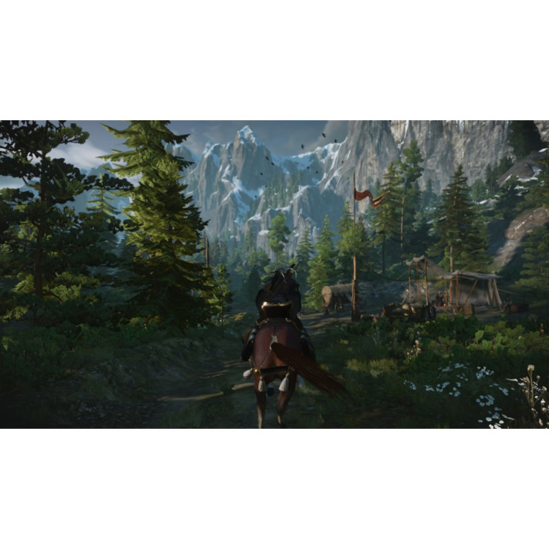 Games Software The Witcher 3: Wild Hunt (Switch) (5902367641825)
