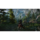 Games Software The Witcher 3: Wild Hunt (Switch) (5902367641825)