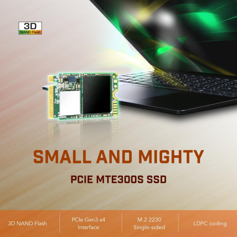Transcend SSD M.2 256GB PCIe 3.0 MTE300S 2230 (TS256GMTE300S)