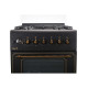 ARDESTO Cooker combined Line-R, 53L, 60x60cm, convection, cast-iron, lamp, LPG conversion set (gas cylinder connection), black (FSCF-C606B)