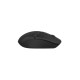Мышка A4Tech FG12S Black (4711421959544)