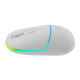 Мышка Canyon MW-22 Dual Band RGB Wireless Snow White (CNS-CMSW22SW)