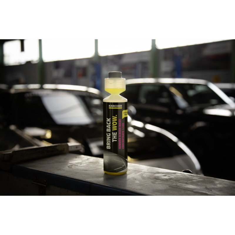 Karcher Summer Screen Wash Concentrate RM 672, 0.25 L, 0.305 kg (6.296-110.0)