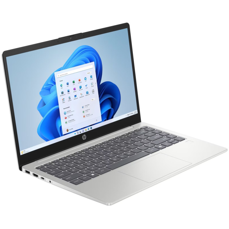HP Ноутбук 240R-G10 14" FHD IPS AG, Intel 3-100U, 16GB, F512GB, UMA, Win11, сріблястий (CJ2Q4AT)