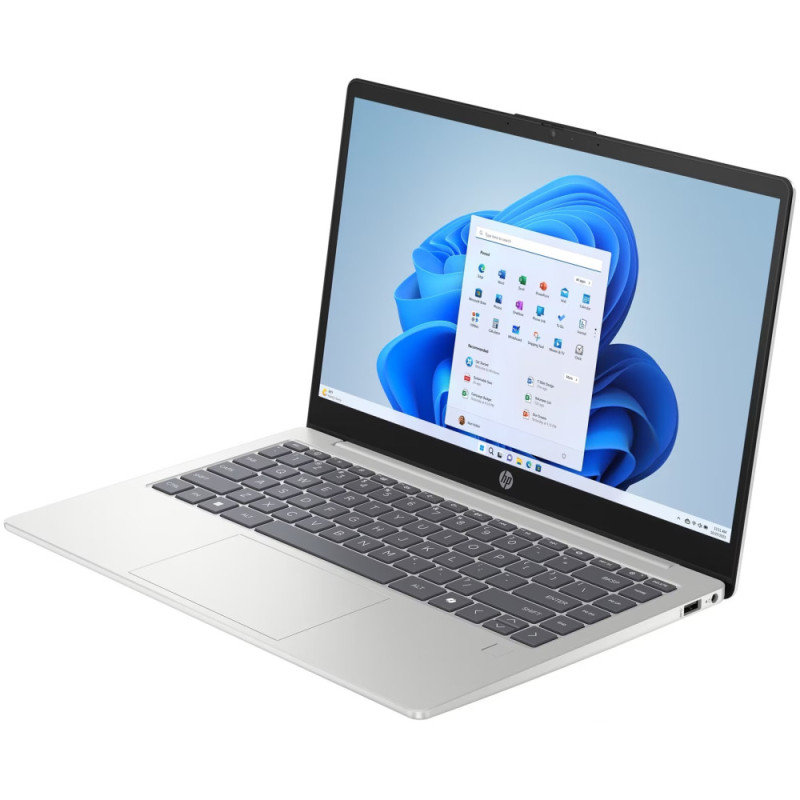 HP Ноутбук 240R-G10 14" FHD IPS AG, Intel 3-100U, 16GB, F512GB, UMA, Win11, сріблястий (CJ2Q4AT)