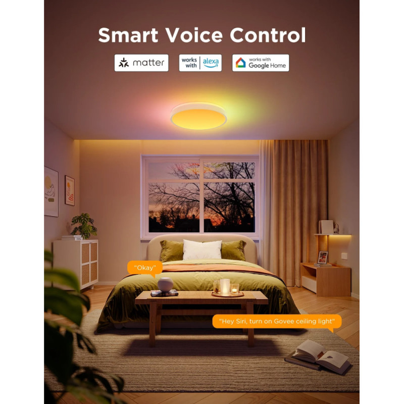 Govee Потолочний світильник 38cm Smart Ceiling Light Pro, RGBICWW, WI-FI/Bluetooth, білий (H60A6C01)