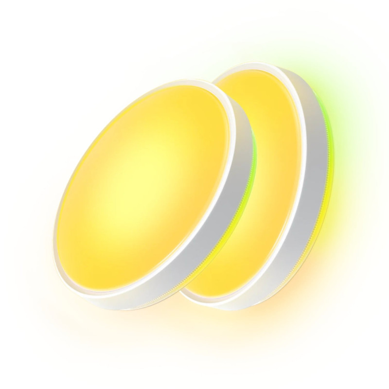 Govee Потолочний світильник 38cm Smart Ceiling Light Pro, RGBICWW, WI-FI/Bluetooth, білий (H60A6C01)