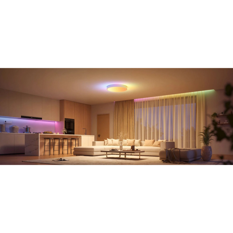 Govee Потолочний світильник 38cm Smart Ceiling Light Pro, RGBICWW, WI-FI/Bluetooth, білий (H60A6C01)