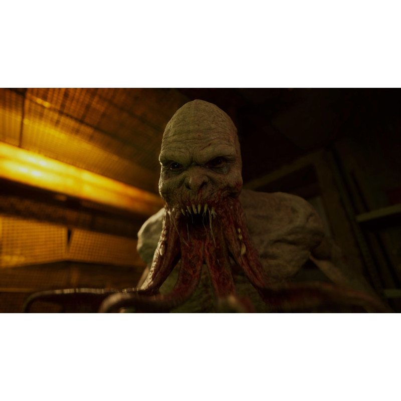 Games Software S.T.A.L.K.E.R. 2 Standard Edition (PC) (1070360)