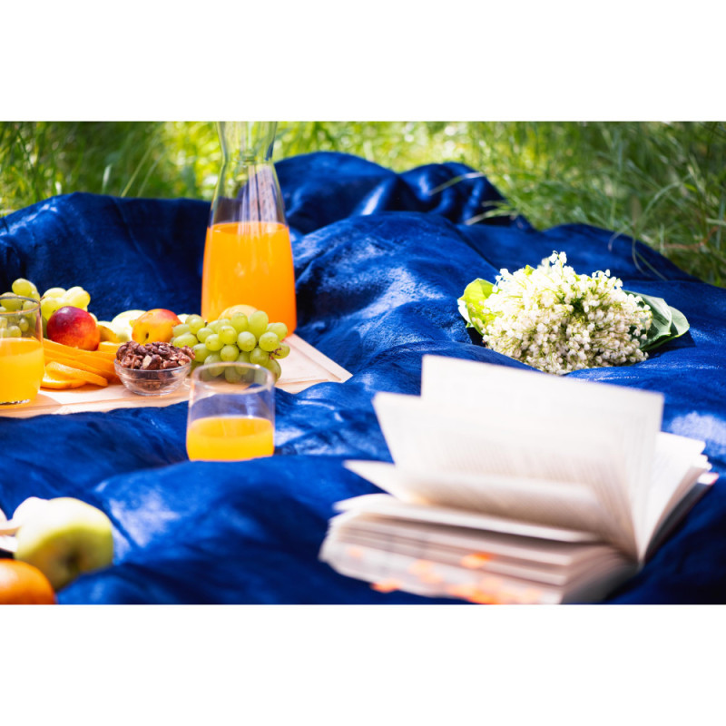 ARDESTO Flannel blanket, 160x200cm, dark blue, 100% polyester (ART0211SB)