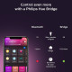 Philips Hue Gradient LightStrip, 0.5W, 2000K-6500K, Gradient, Bluetooth, 2m (929002994901)