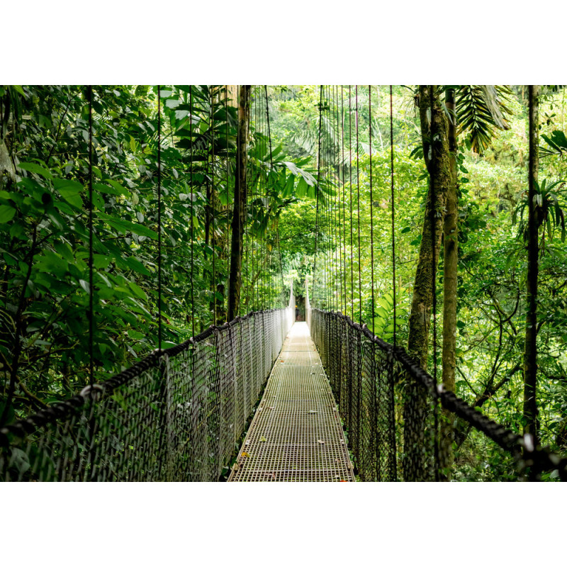 HP Ноутбук HP Probook 4-G1a 14" 2.2K IPS, AMD R7-250, 48GB, F1024GB, UMA, Win11P, сріблястий (B9ZF9ET)