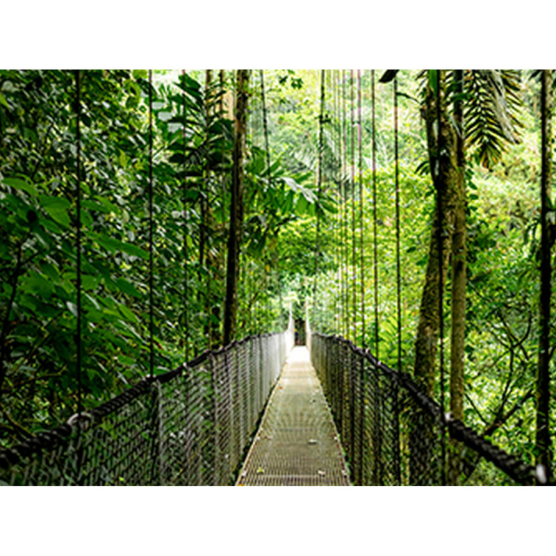 HP Ноутбук HP Probook 4-G1a 14" 2.2K IPS, AMD R7-250, 48GB, F1024GB, UMA, Win11P, сріблястий (B9ZF9ET)