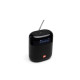 Акустическая система JBL Tuner XL FM Black (JBLTUNERXLBLKEUNA)