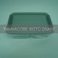 ARDESTO Контейнер двосекційний для зберігання харчових продуктів ARDESTO Fresh 2х0.25л, пластик, прямокутна, сірий (AR1302R)