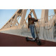 Segway Електросамокат F2 PRO E II, чорний (AA.05.12.03.0007)