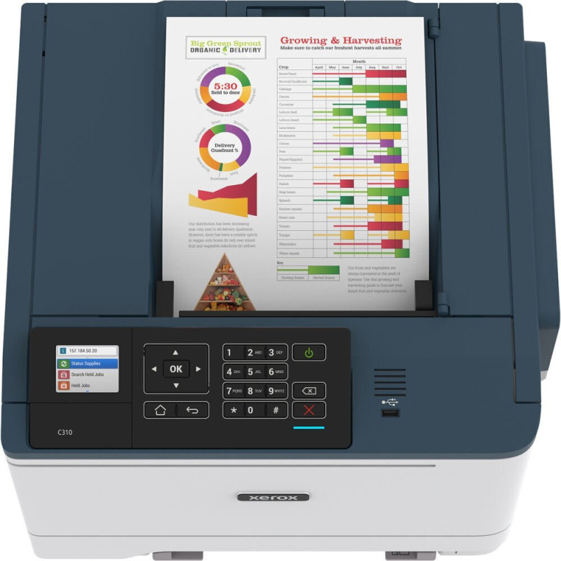 Xerox Printer A4 C310 (Wi-Fi) (C310V_DNI)