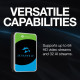 Seagate 12TB 3.5  7200 256MB SATA SkyHawk AI (ST12000VE001)