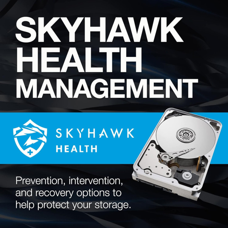 Seagate 12TB 3.5  7200 256MB SATA SkyHawk AI (ST12000VE001)