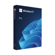 Операционная система Microsoft Windows 11 Pro англ, FPP на USB носії (HAV-00164)