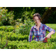 Einhell Battery-powered shears for grass and shrubs GC-CG 36/70 Li, 3.6V, 2Ah battery, cutting 7/11cm, cutting step 8mm, telescopic handle, 0.61 kg (3410360)
