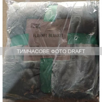 ARDESTO Плед Ardesto Flannel 160х200см, 100% поліестер, бірюзовий (ART0229SB) ARDESTO Плед Ardesto Flannel 160х200см, 100% поліестер, бірюзовий (ART0229SB)