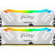 Модуль памяти для компьютера DDR5 48GB (2x24GB) 8000 MHz Renegade RGB White/Silver Kingston Fury (ex.HyperX) (KF580C38RWAK2-48)