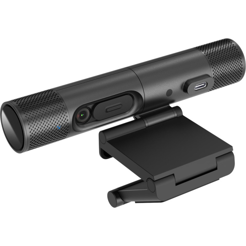AVerMedia Webcam DUALCAM PW313D Full HD Black