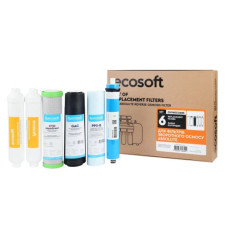 Ecosoft Комплект картриджів Absolute (12 місяців) (CHV6ECOABS)