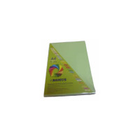 Бумага Romus A4 80 г/м2 100sh Light green (R50638)