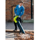 Ryobi Blower Vac 3000W, Euro-style (5133002190)