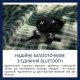 Наушники Philips TAT2520BK/00 Wireless Black (TAT2520BK/00)