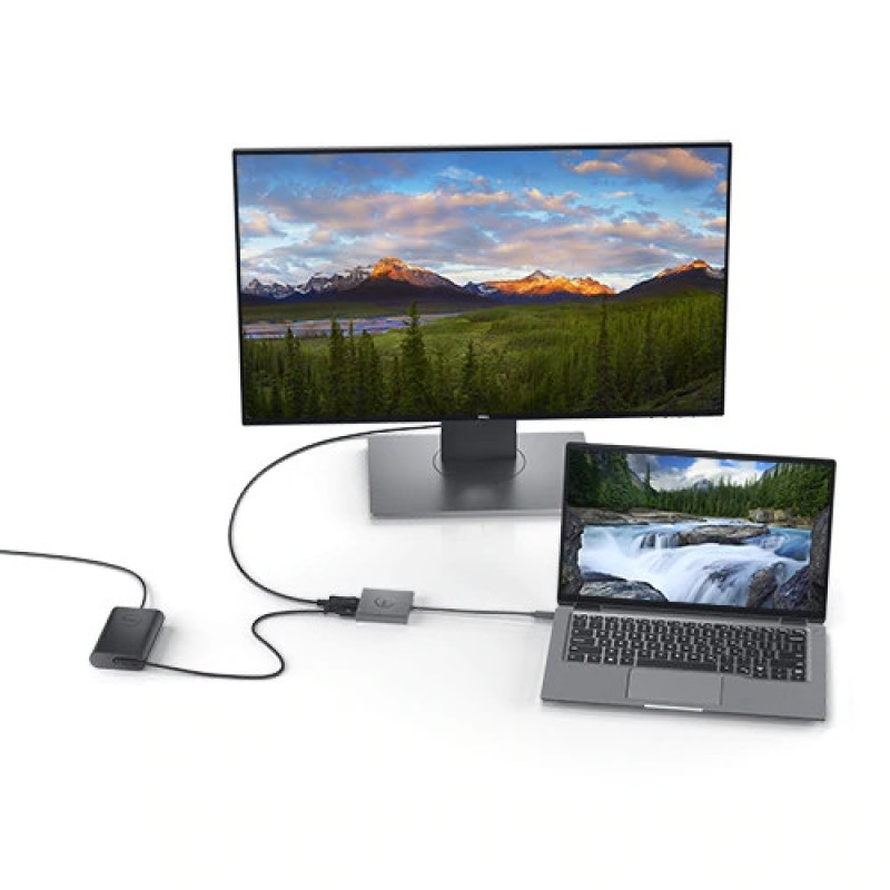 Dell USB-C to HDMI/ DisplayPort with Power Delivery (470-AEGY)