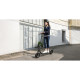 Segway KickScooter F2 II E (AA.05.12.01.0010)