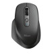Trust Mouse Ozaa Rechargeable WL Black (23812_TRUST)