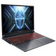 Ноутбук Thunderobot R16 (R16-i7136HX56C1Q180RG)