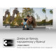 Телевизор THOMSON 43UG4S14