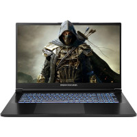 Dream Machines Ноутбук RG4060-17 17.3FHD IPS, Intel i7-14650HX, 32GB, F1TB, NVD4060-8, DOS, чорний (RG4060-17UA43)