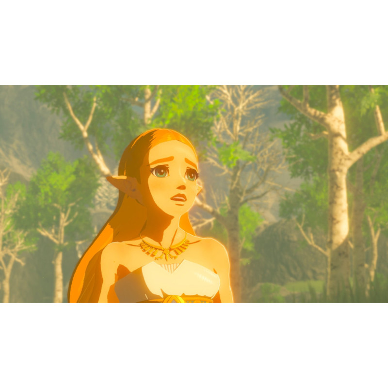 Games Software The Legend of Zelda: Breath of the Wild (Switch) (045496420055)