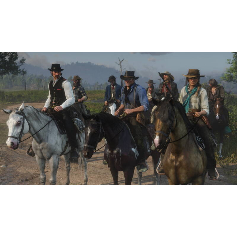 Games Software Red Dead Redemption 2 [Blu-Ray disk] (PS4) (5026555423052)