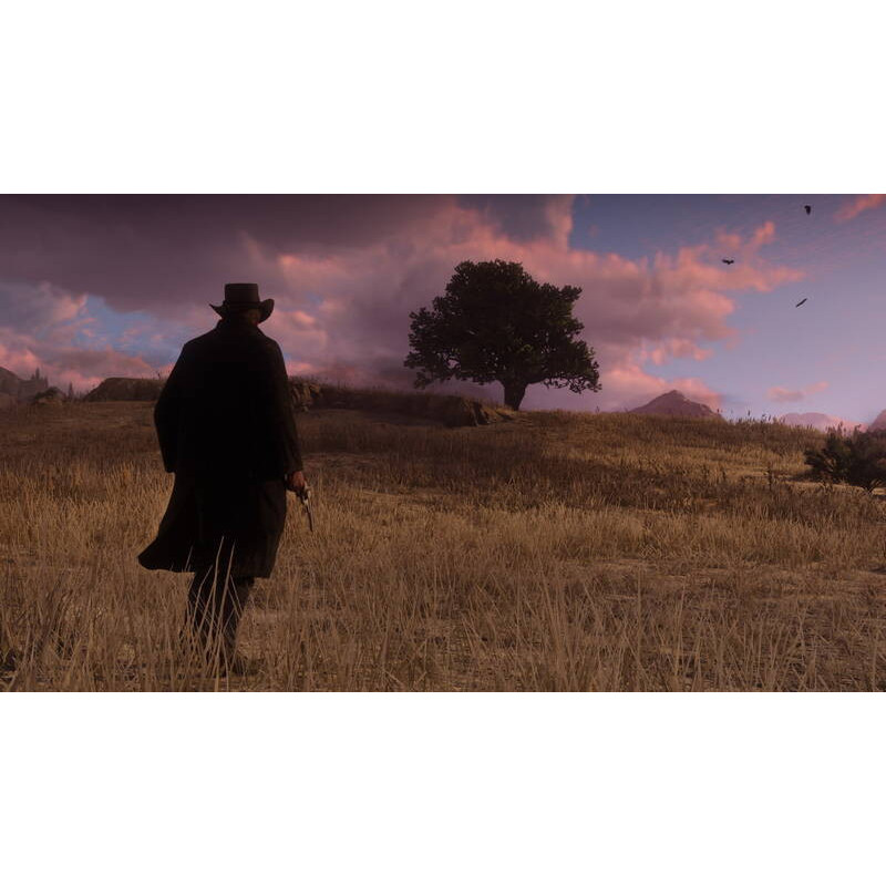 Games Software Red Dead Redemption 2 [Blu-Ray disk] (PS4) (5026555423052)