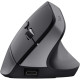 Мышка Trust Bayo+ Ergonomic Wireless/Bluetooth Black (25146)