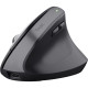 Мышка Trust Bayo+ Ergonomic Wireless/Bluetooth Black (25146)