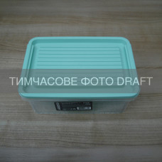 ARDESTO Контейнер для зберігання харчових продуктів ARDESTO Fresh 2.8л, пластик, прямокутна, блакитний (AR1306B)