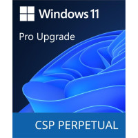 Microsoft Windows 11 Pro Upgrade (DG7GMGF0D8H4-0004)