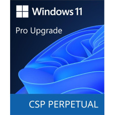 Microsoft Windows 11 Pro Upgrade (DG7GMGF0D8H4-0004)