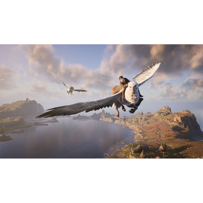 Games Software Гра консольна Switch Hogwarts Legacy Deluxe Edition, картридж (5051895415597)